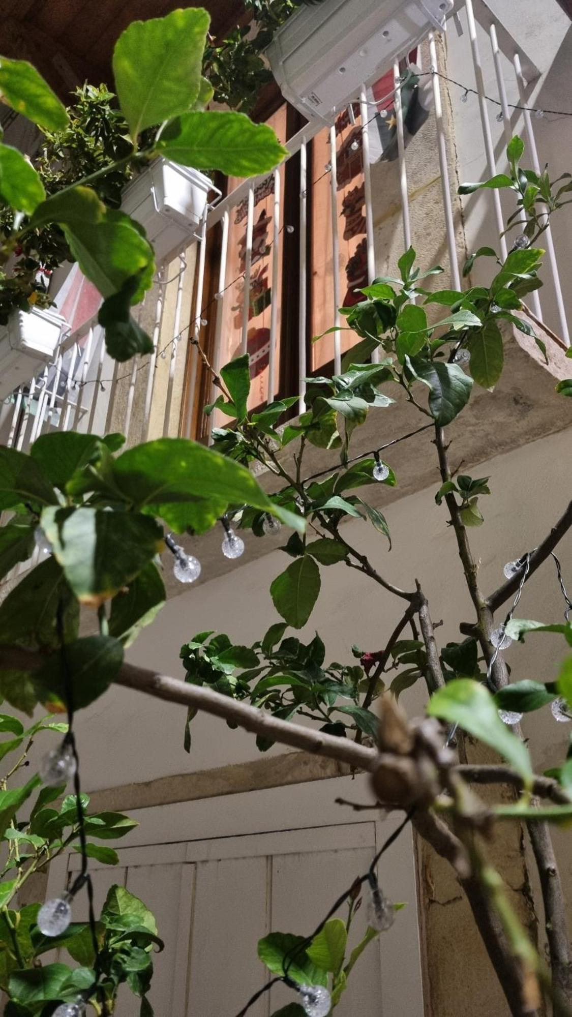 In Parva Domus Lejlighed Bitonto Eksteriør billede